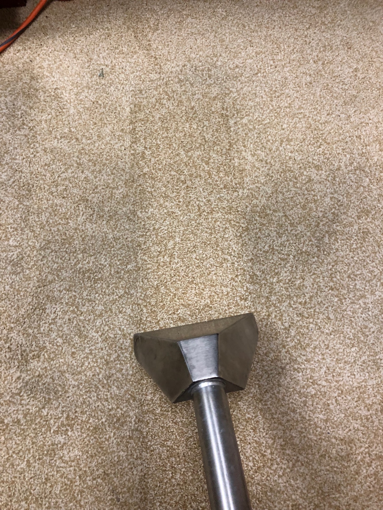 carpet-cleaning-phoenix.jpg